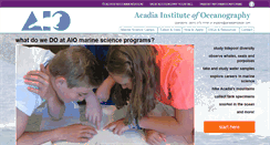 Desktop Screenshot of acadiainstitute.com