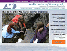 Tablet Screenshot of acadiainstitute.com